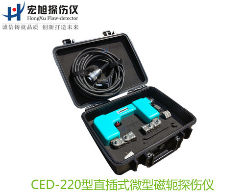 CED220型直插式微型磁轭看美女叼嘿视频APP